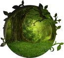 Fototapet Pădure