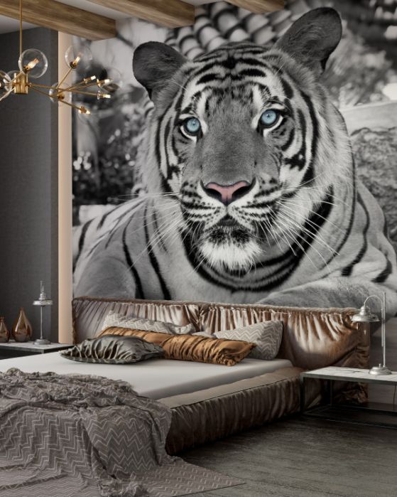 Fototapet Tigri