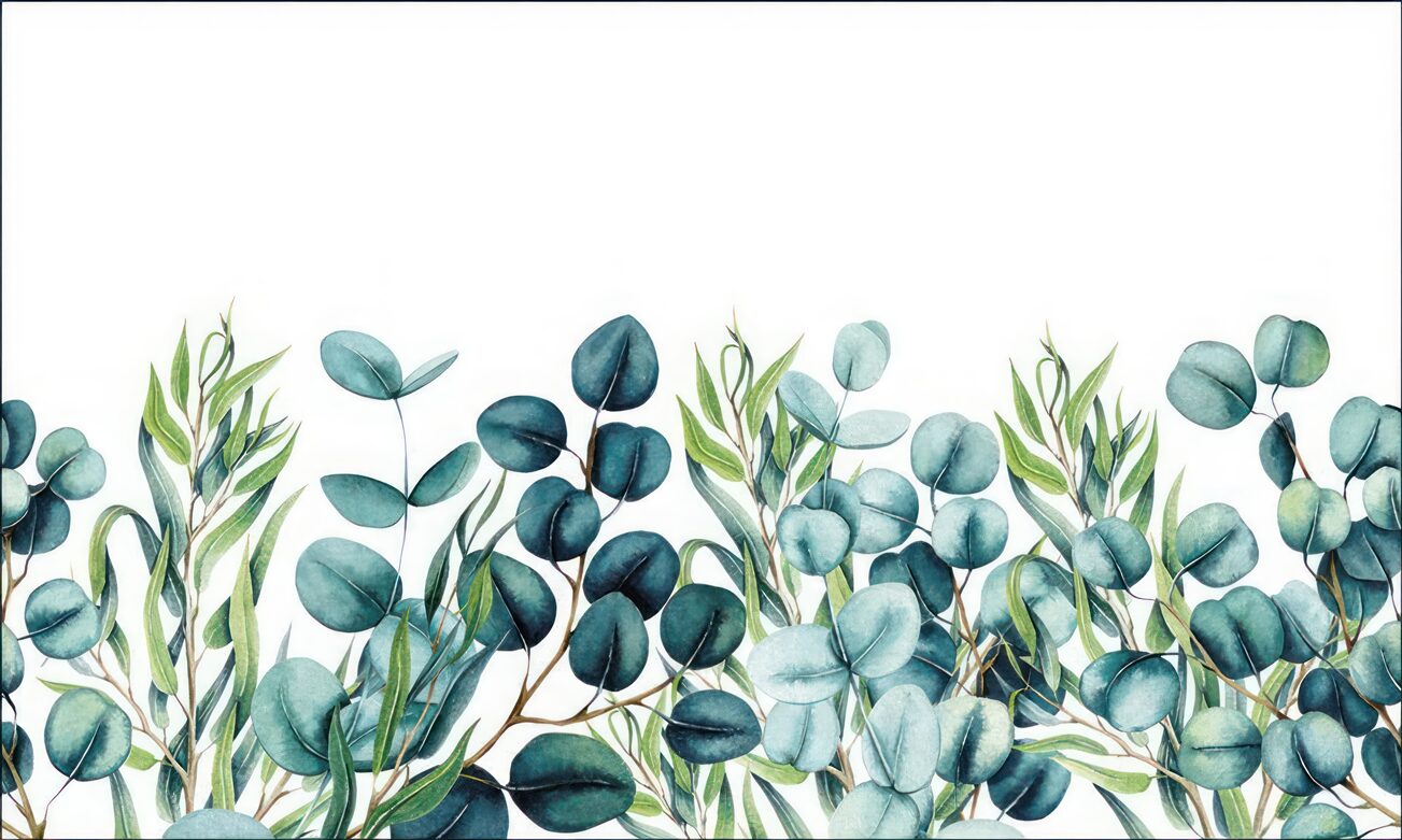 Last Product image