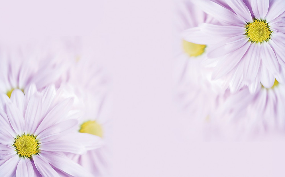 Last Product image