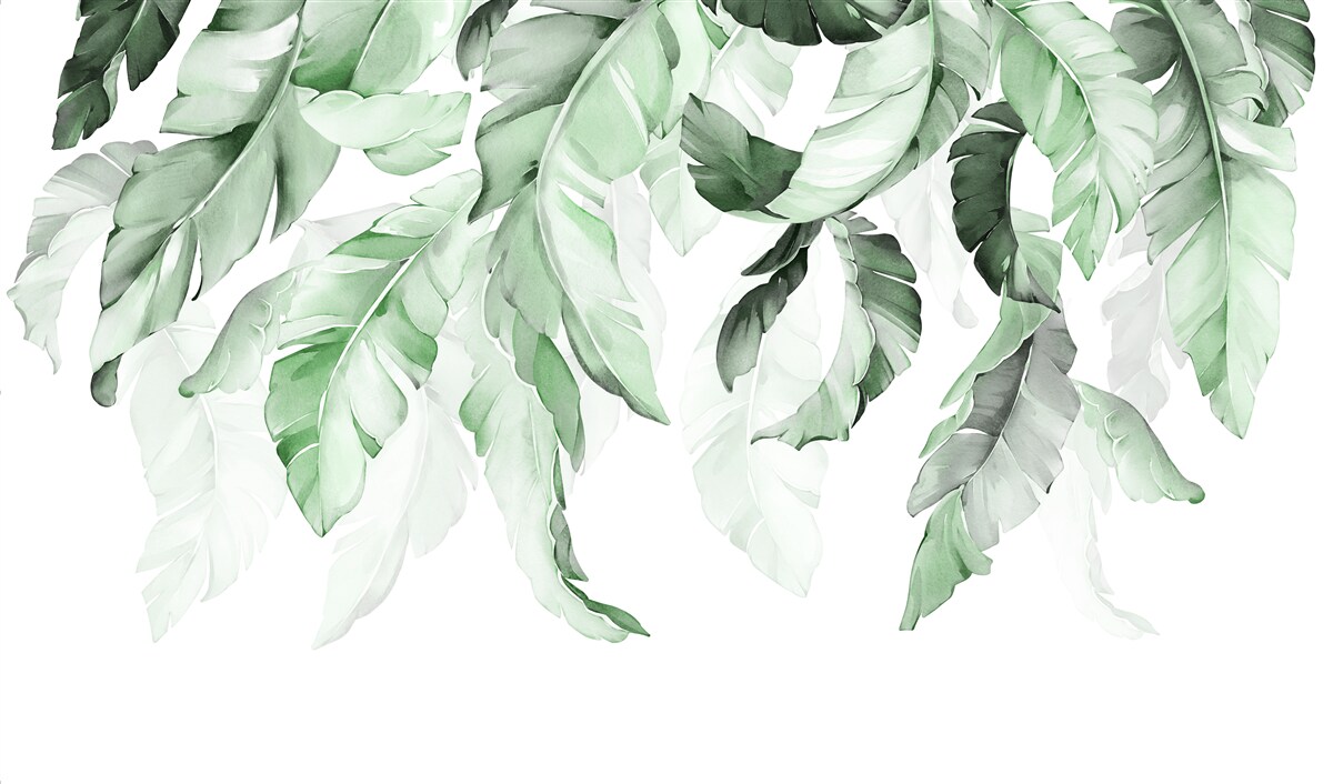 Last Product image