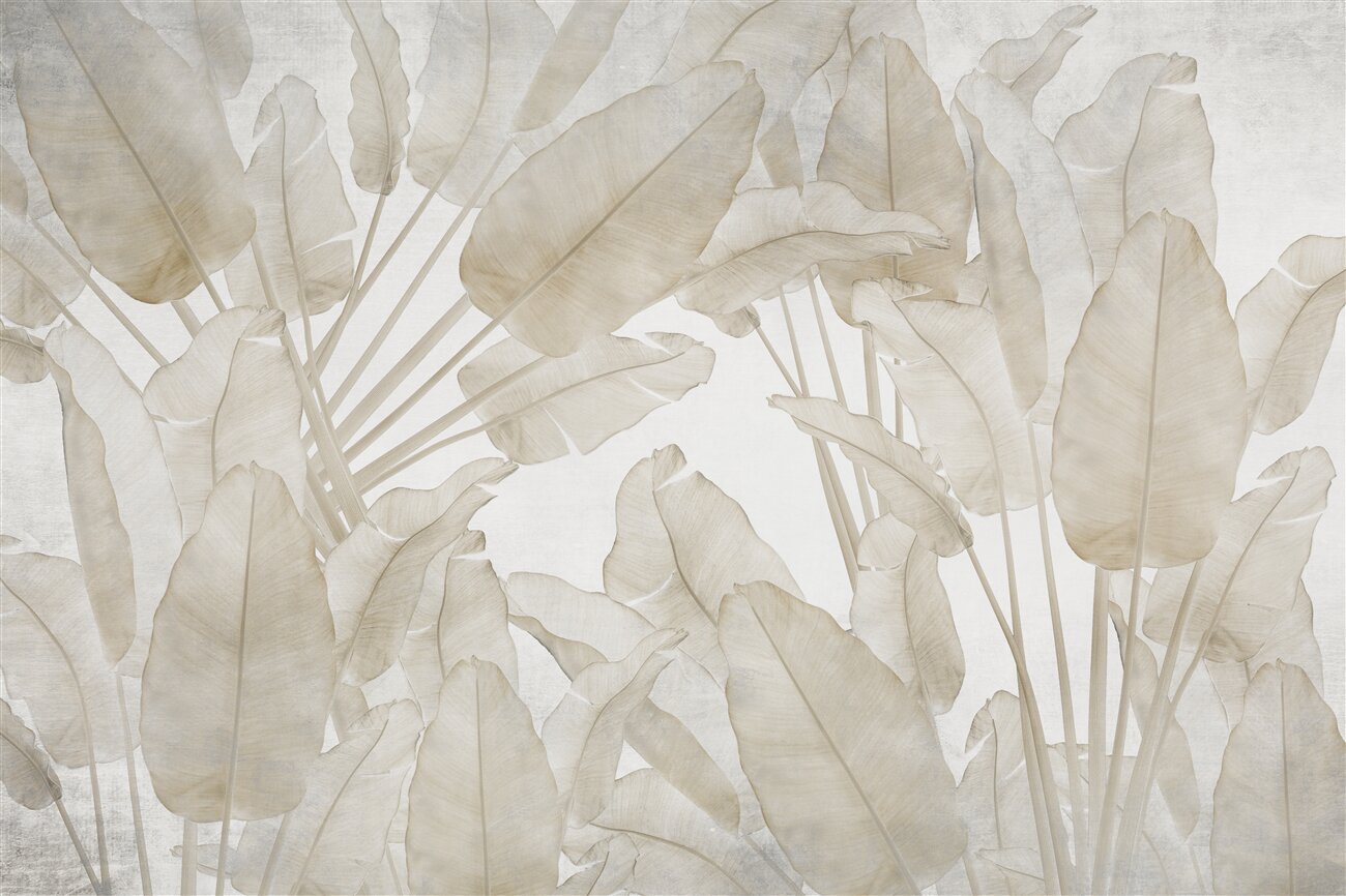 Last Product image