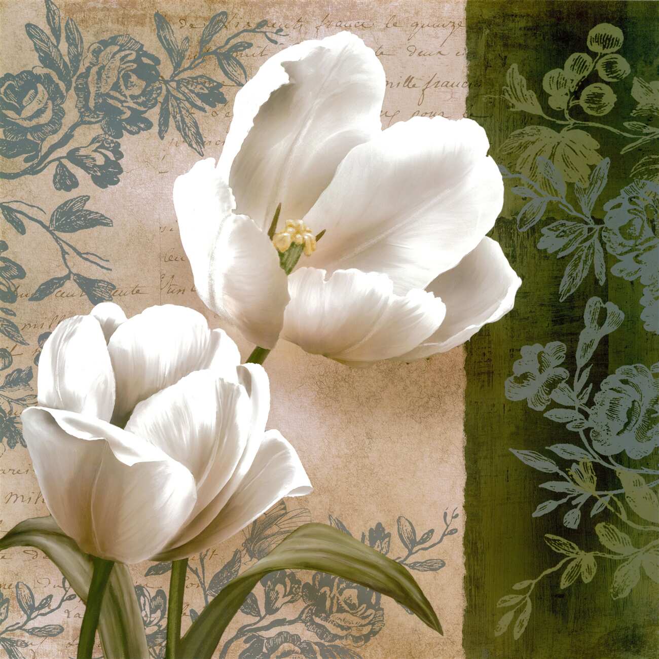 Last Product image