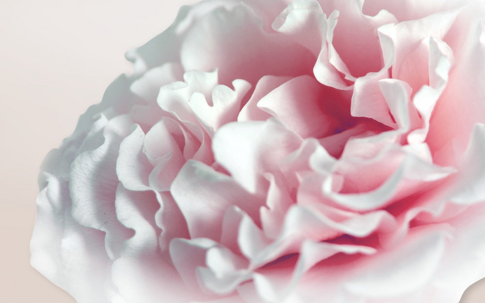 Last Product image