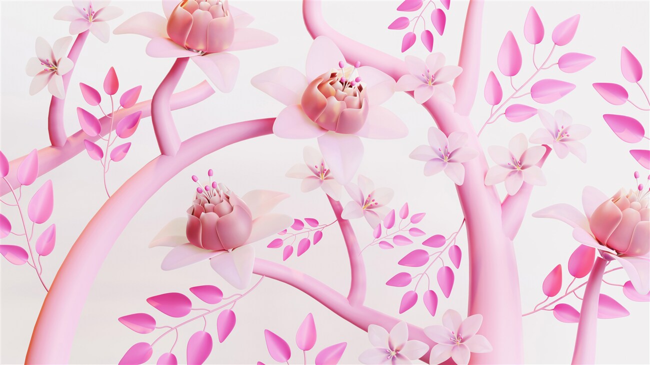 Last Product image