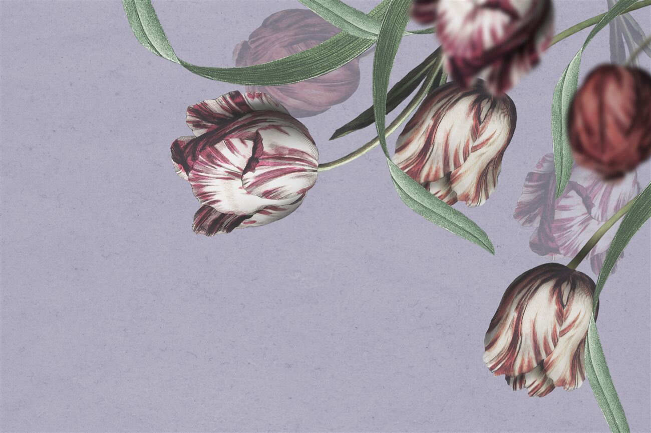 Last Product image