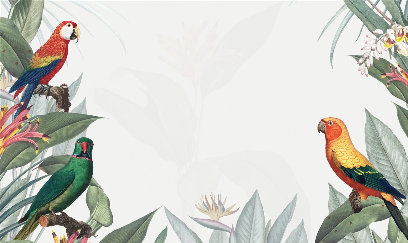 Last Product image