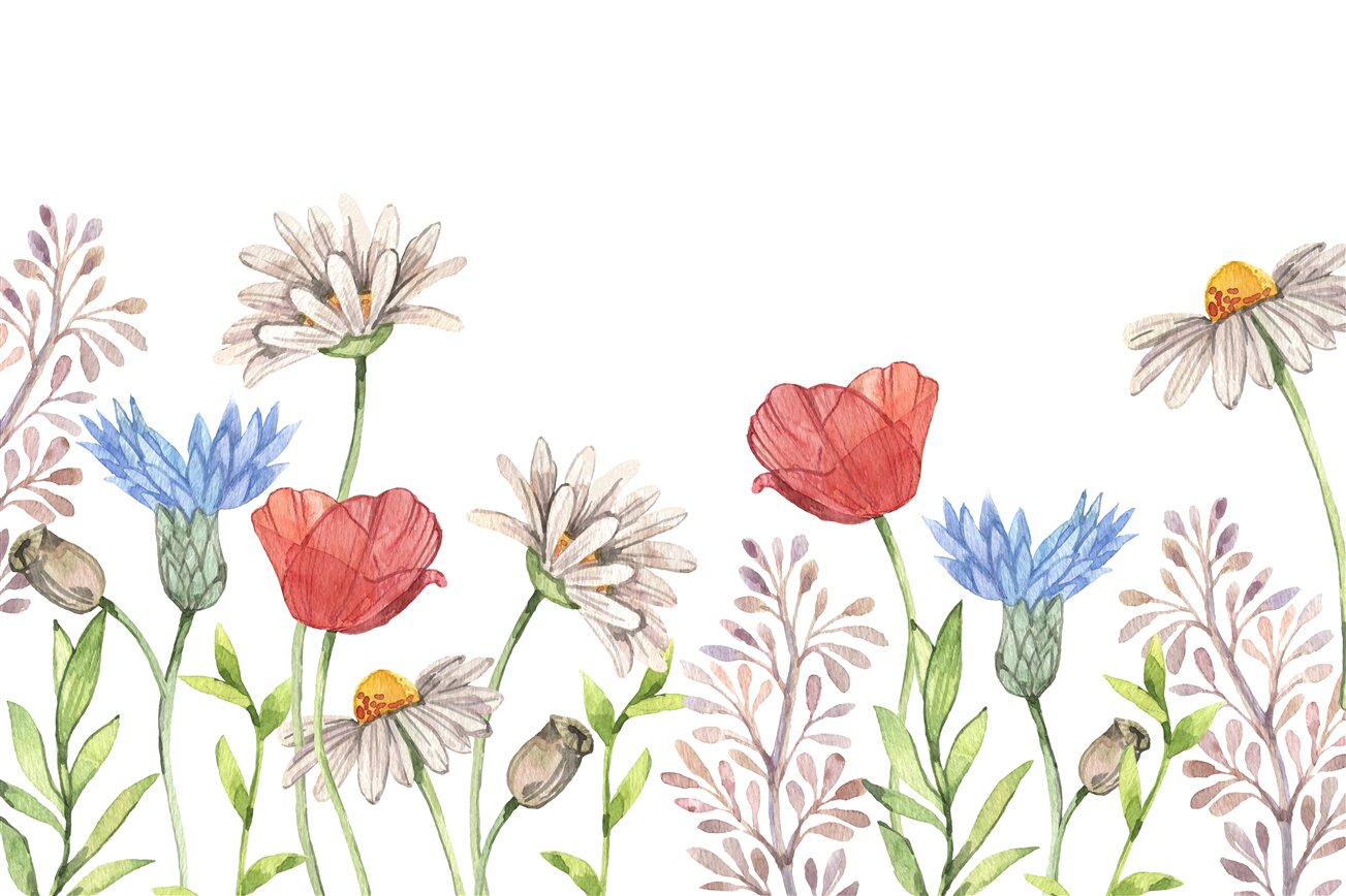Last Product image